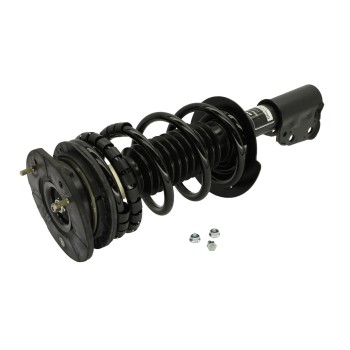 Suspension Strut and Coil Spring Assembly