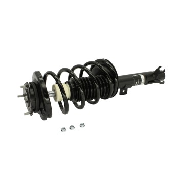 Suspension Strut and Coil Spring Assembly