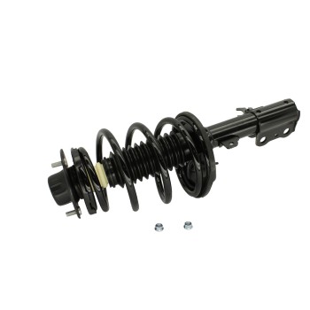 Suspension Strut and Coil Spring Assembly