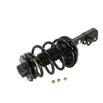 Suspension Strut and Coil Spring Assembly