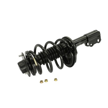 Suspension Strut and Coil Spring Assembly