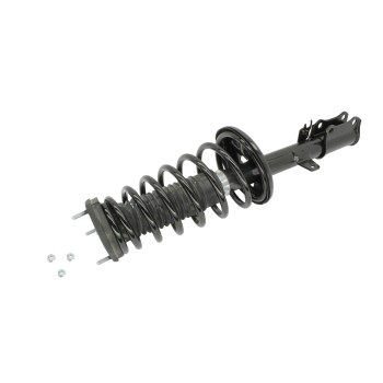 Suspension Strut and Coil Spring Assembly