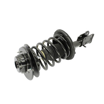 Suspension Strut and Coil Spring Assembly