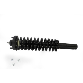 Suspension Strut and Coil Spring Assembly