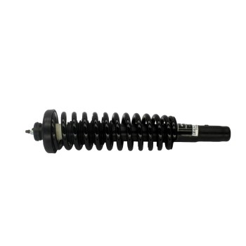 Suspension Strut and Coil Spring Assembly