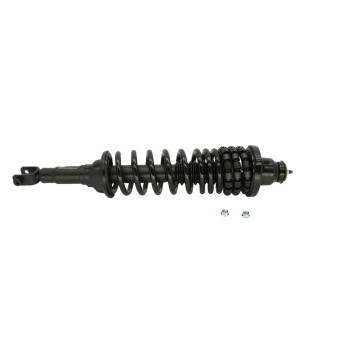 Suspension Strut and Coil Spring Assembly