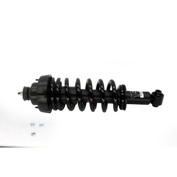 Suspension Strut and Coil Spring Assembly