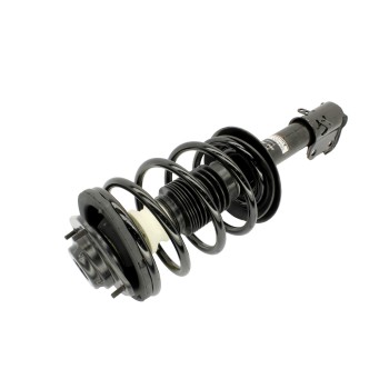Suspension Strut and Coil Spring Assembly