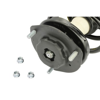 Suspension Strut and Coil Spring Assembly