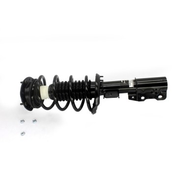 Suspension Strut and Coil Spring Assembly