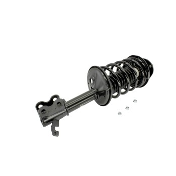 Suspension Strut and Coil Spring Assembly