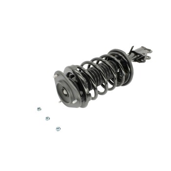 Suspension Strut and Coil Spring Assembly
