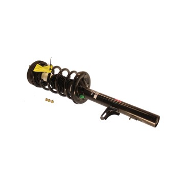 Suspension Strut and Coil Spring Assembly