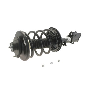 Suspension Strut and Coil Spring Assembly