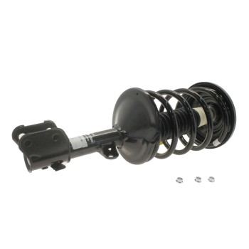 Suspension Strut and Coil Spring Assembly