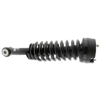 Suspension Strut and Coil Spring Assembly