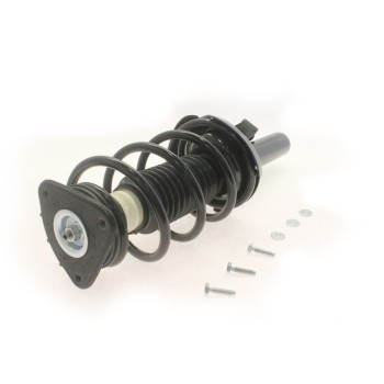 Suspension Strut and Coil Spring Assembly