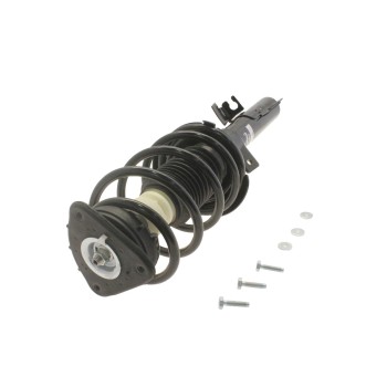 Suspension Strut and Coil Spring Assembly