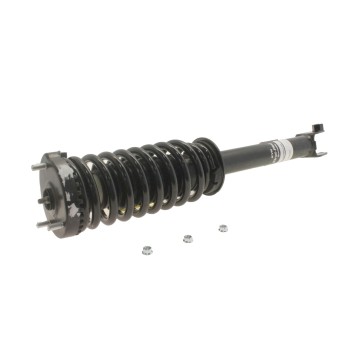Suspension Strut and Coil Spring Assembly