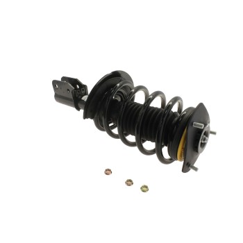 Suspension Strut and Coil Spring Assembly