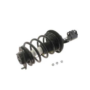Suspension Strut and Coil Spring Assembly