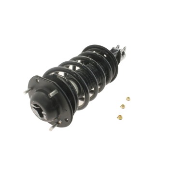 Suspension Strut and Coil Spring Assembly