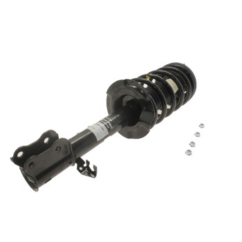 Suspension Strut and Coil Spring Assembly
