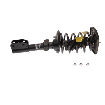 Suspension Strut and Coil Spring Assembly