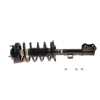 Suspension Strut and Coil Spring Assembly