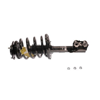 Suspension Strut and Coil Spring Assembly