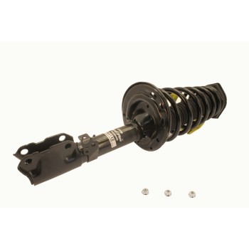 Suspension Strut and Coil Spring Assembly