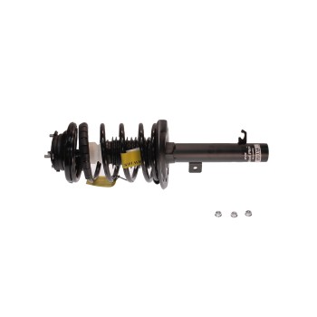 Suspension Strut and Coil Spring Assembly