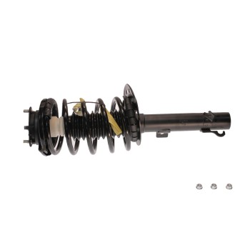 Suspension Strut and Coil Spring Assembly