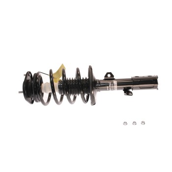 Suspension Strut and Coil Spring Assembly