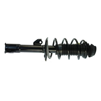 Suspension Strut and Coil Spring Assembly