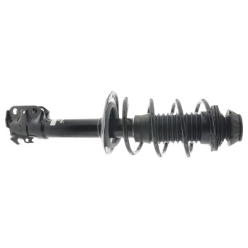 Suspension Strut and Coil Spring Assembly