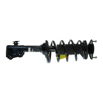 Suspension Strut and Coil Spring Assembly