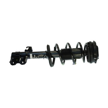 Suspension Strut and Coil Spring Assembly
