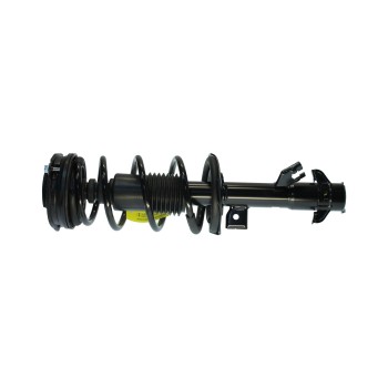 Suspension Strut and Coil Spring Assembly