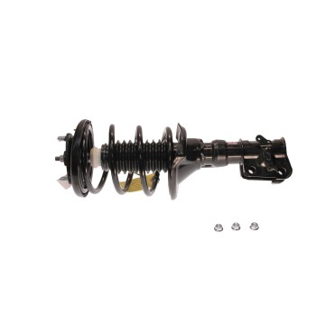 Suspension Strut and Coil Spring Assembly