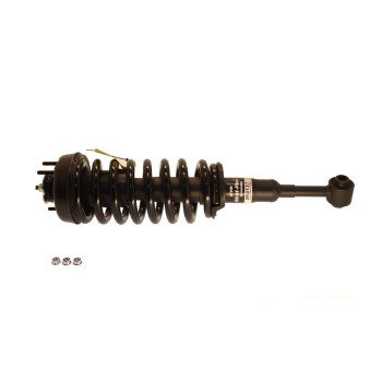 Suspension Strut and Coil Spring Assembly