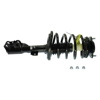 Suspension Strut and Coil Spring Assembly