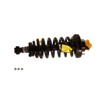 Suspension Strut and Coil Spring Assembly