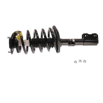 Suspension Strut and Coil Spring Assembly
