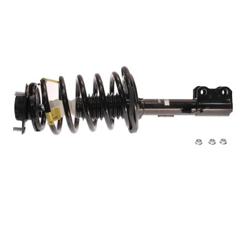 Suspension Strut and Coil Spring Assembly