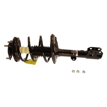 Suspension Strut and Coil Spring Assembly