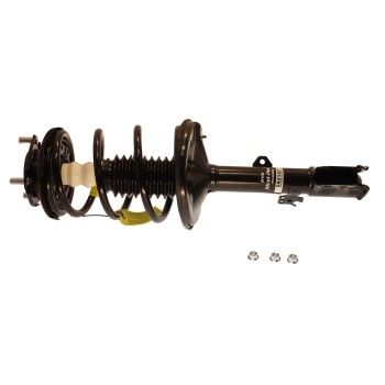 Suspension Strut and Coil Spring Assembly