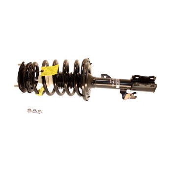 Suspension Strut and Coil Spring Assembly