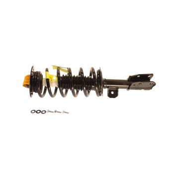 Suspension Strut and Coil Spring Assembly