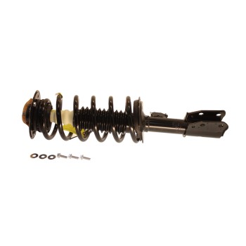 Suspension Strut and Coil Spring Assembly